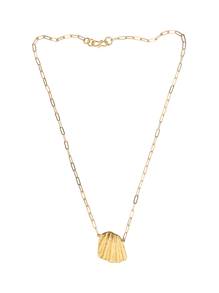 Seashells pectinida necklace