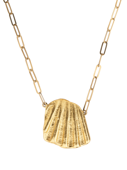 Seashells pectinida necklace photo