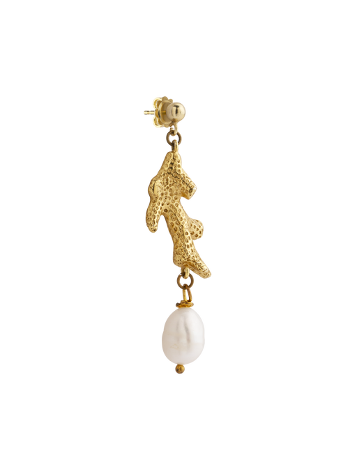 Seashells coral fragment mono earring photo