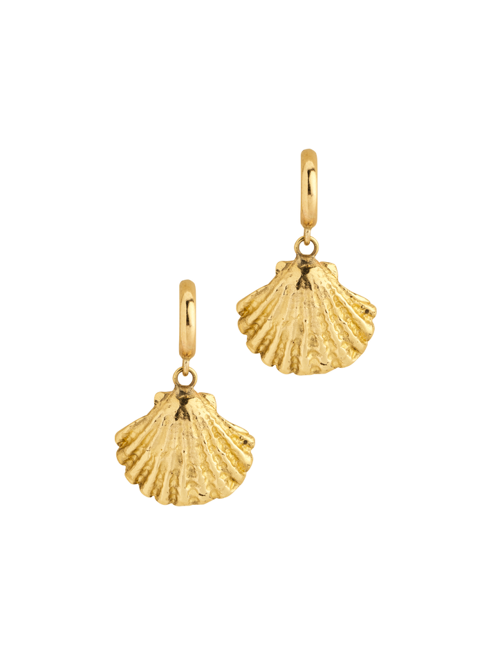 9ct gold seashell hoop earrings