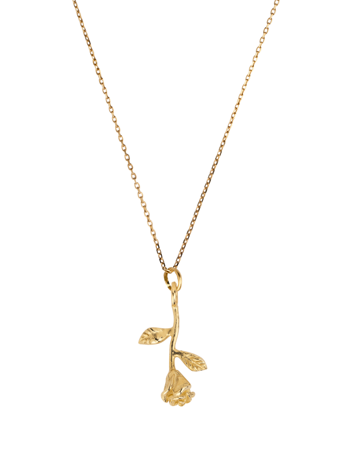 9ct Gold roses are red stem pendant necklace