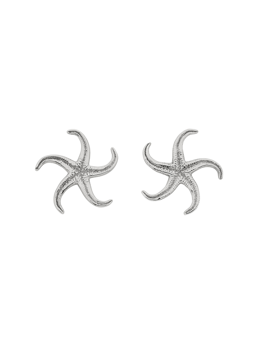 Starfish earrings silver photo