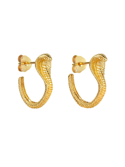 Cobra hoop earrings photo