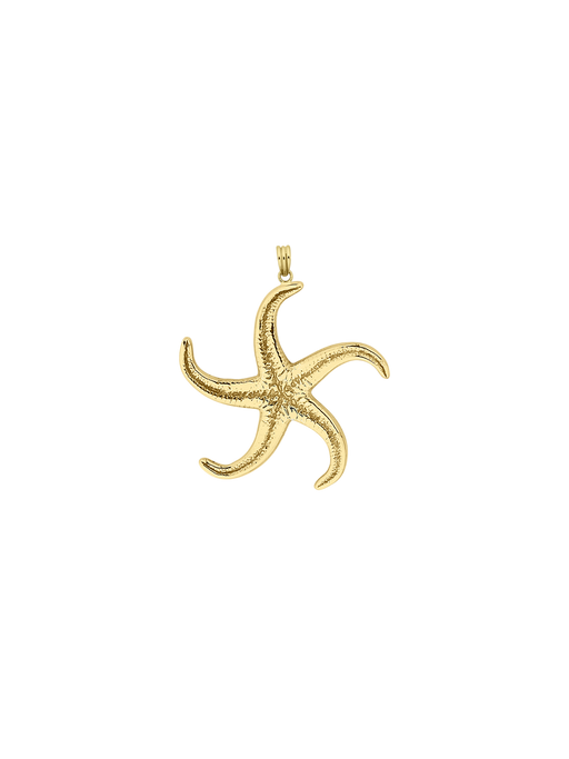 Starfish charm gold photo