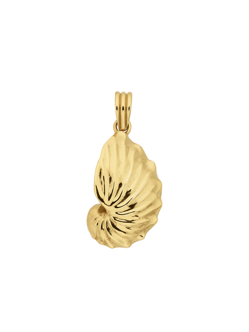 Paper nautilus charm gold photo