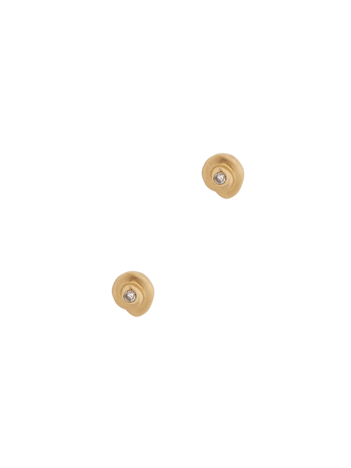 Salacia gold and diamond shells photo