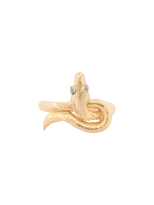 Snake ring photo