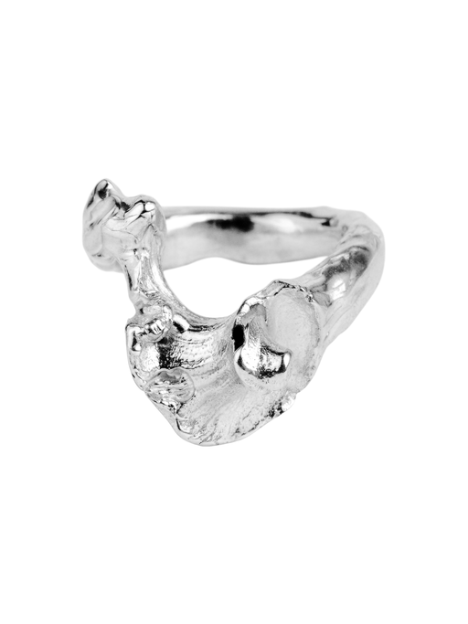 Seek shelter ring  photo