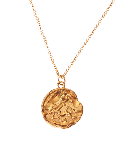 The virgo medallion necklace photo