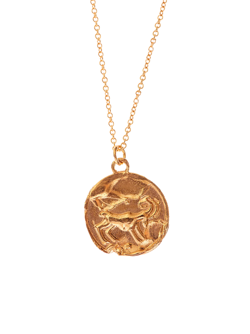 The aries medallion necklace photo