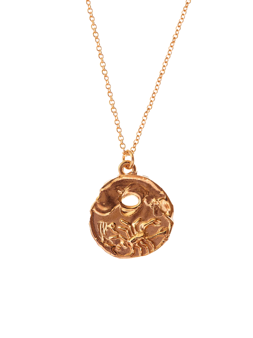 The scorpio medallion necklace photo