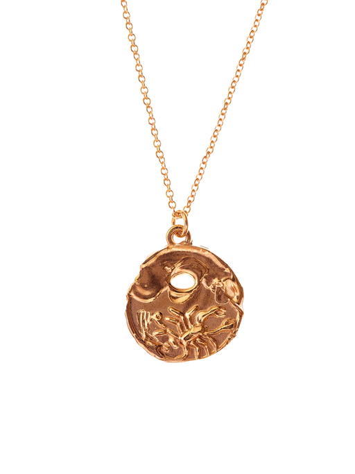 The leo medallion necklace by Alighieri Finematter