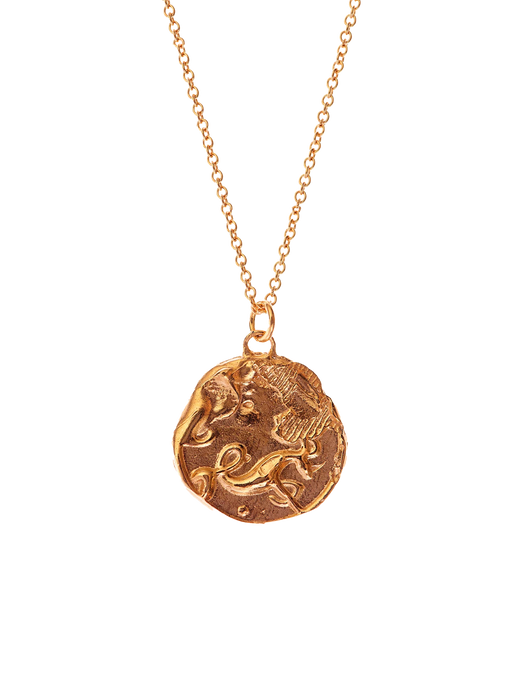 The capricorn medallion necklace photo