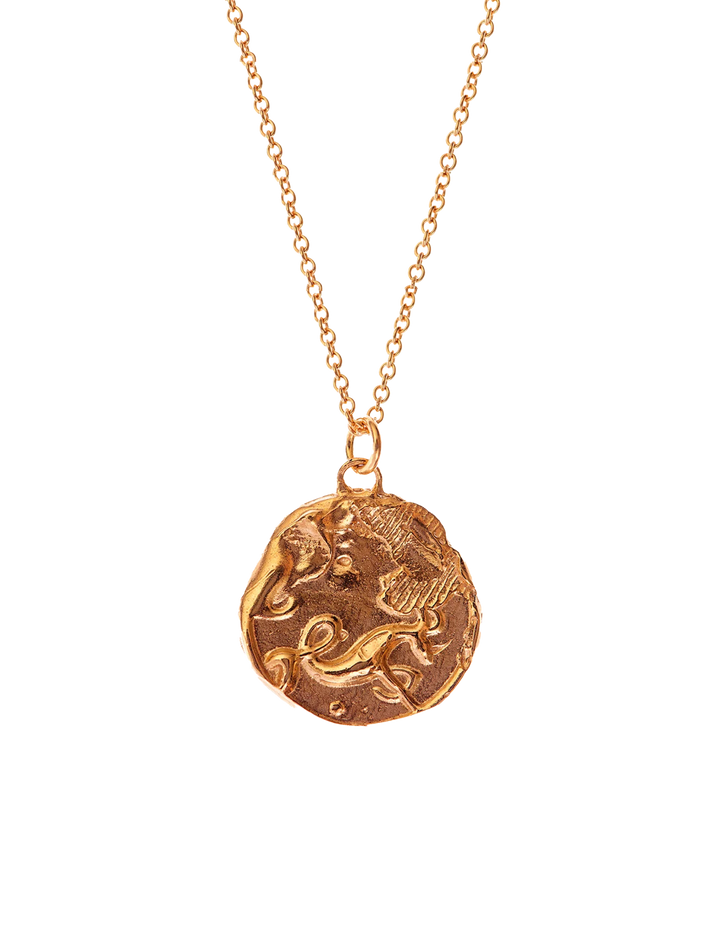 The capricorn medallion necklace
