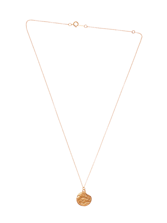 The pisces medallion necklace
