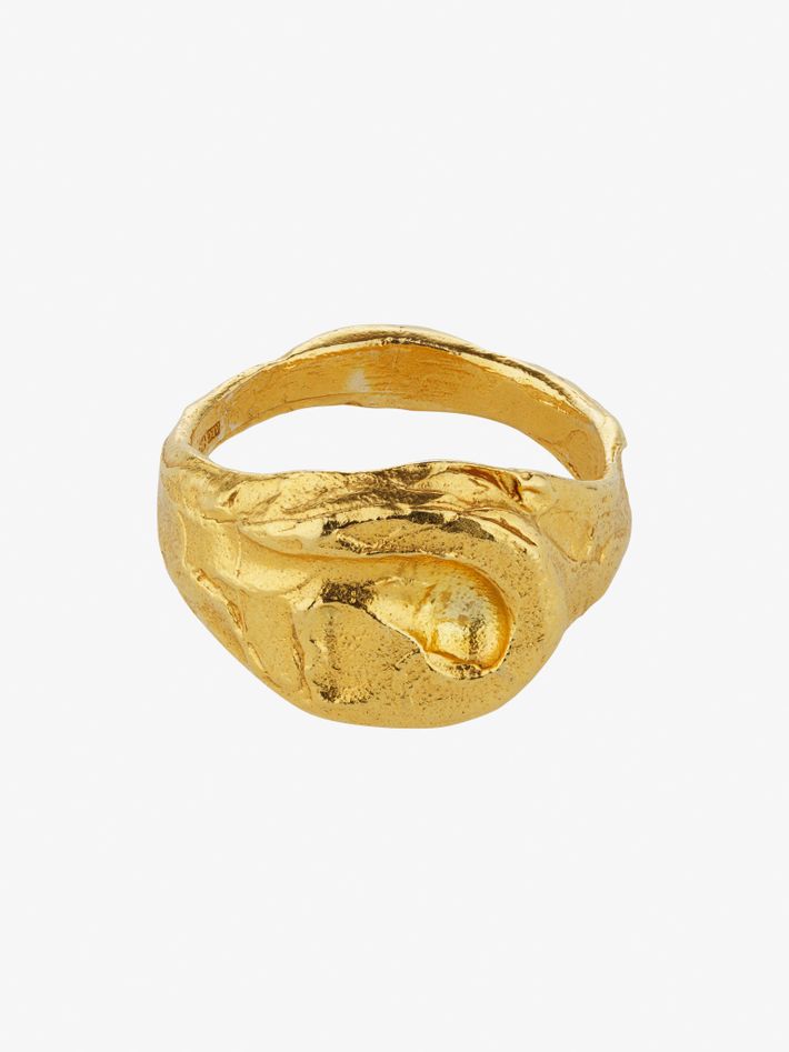 The infernal storm ring