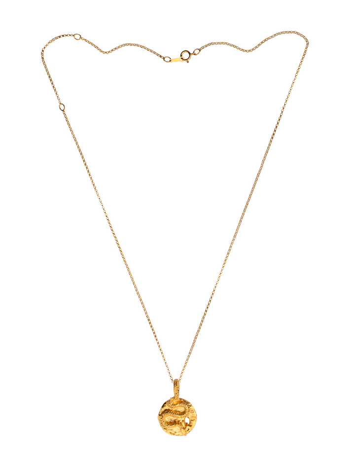 The medusa medallion necklace