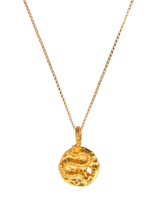 The medusa medallion necklace photo