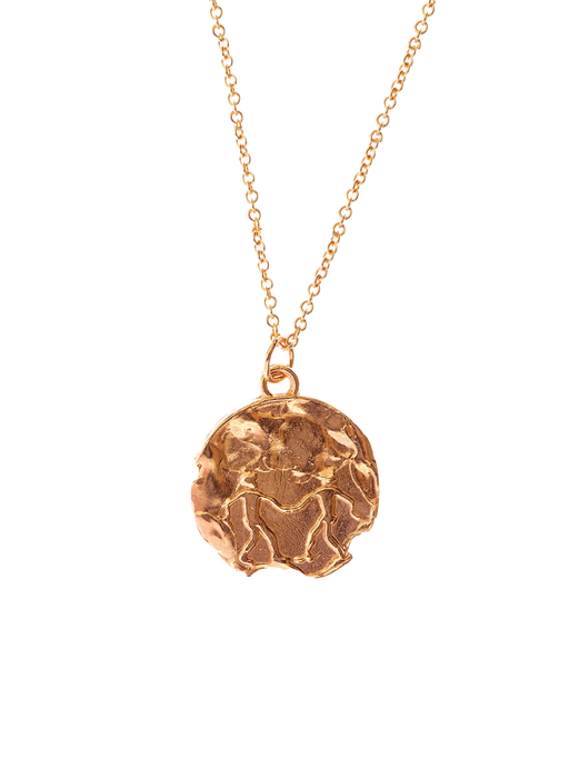 The gemini medallion necklace photo