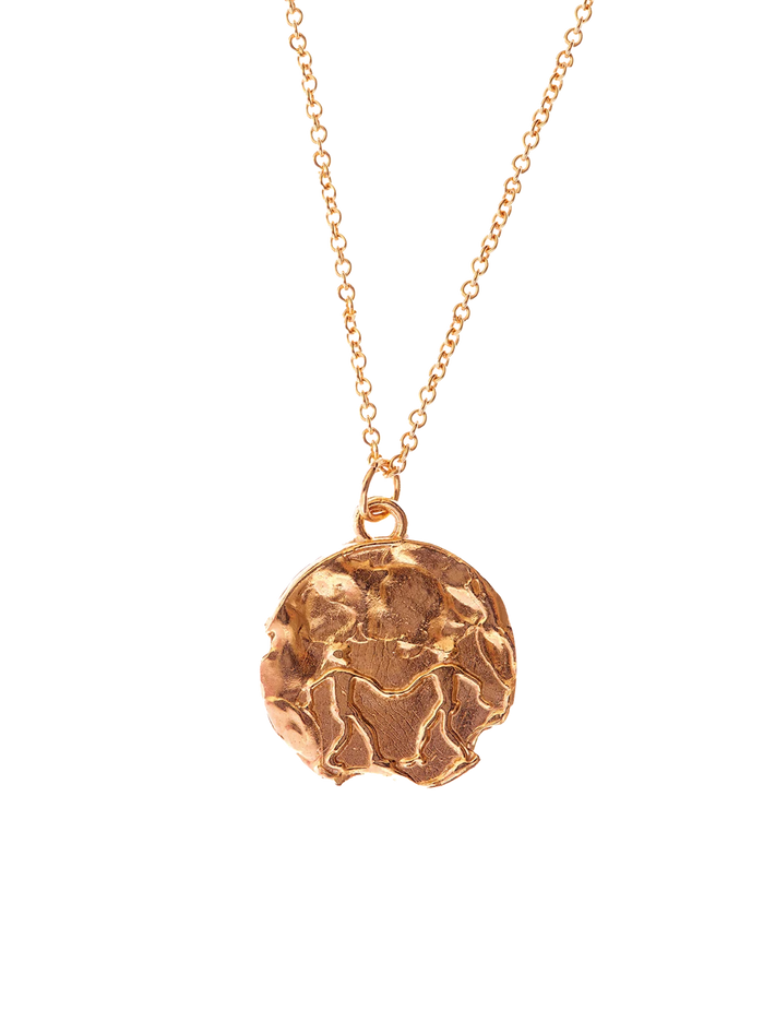 The gemini medallion necklace