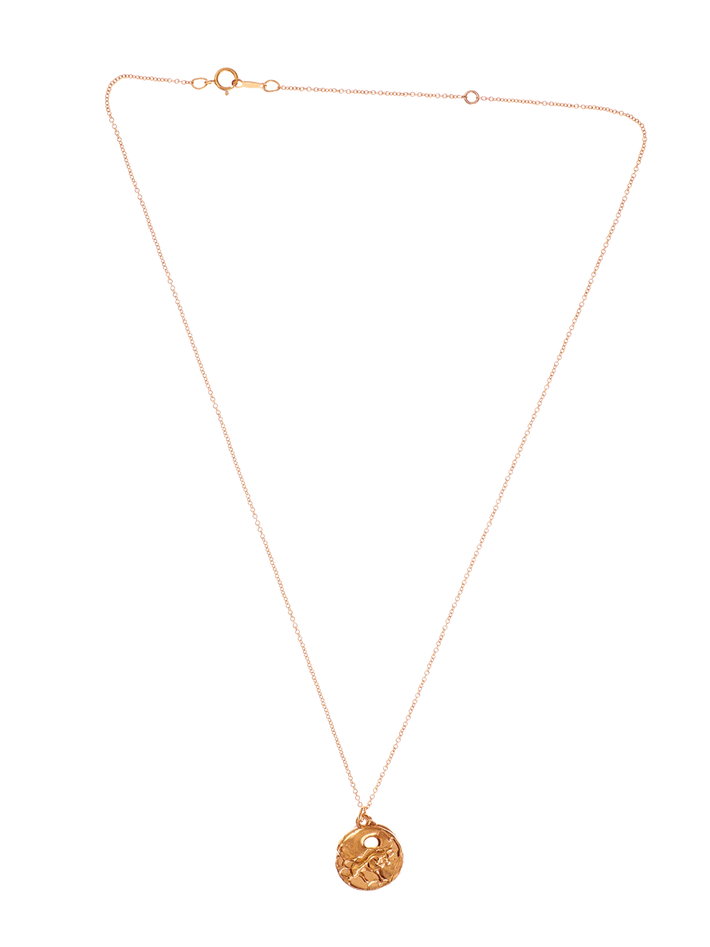 The taurus medallion necklace