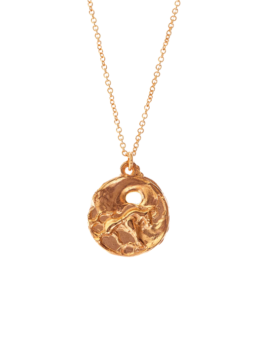 The taurus medallion necklace photo
