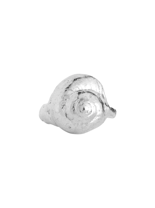 Sea snail ring photo