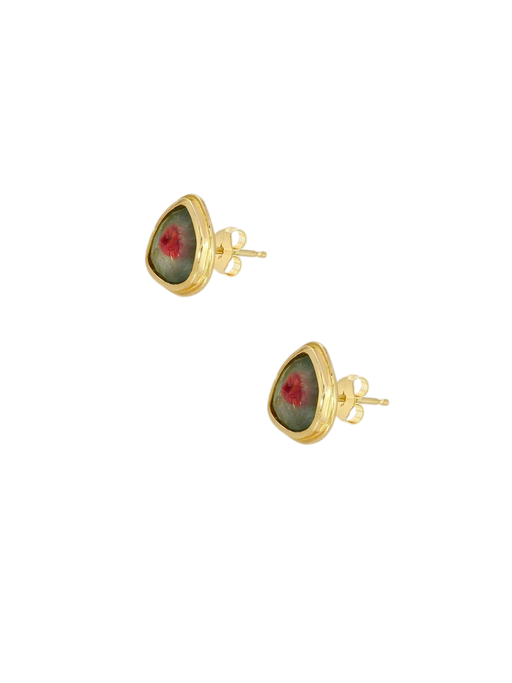 Watermelon Slice Studs photo