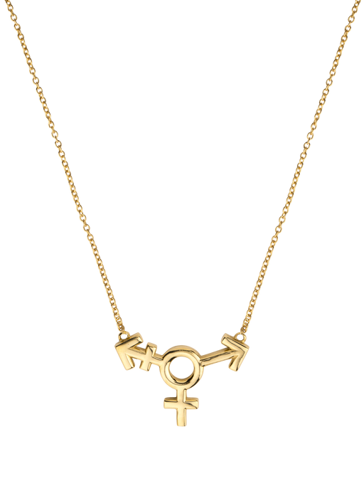 Transgender symbol necklace photo