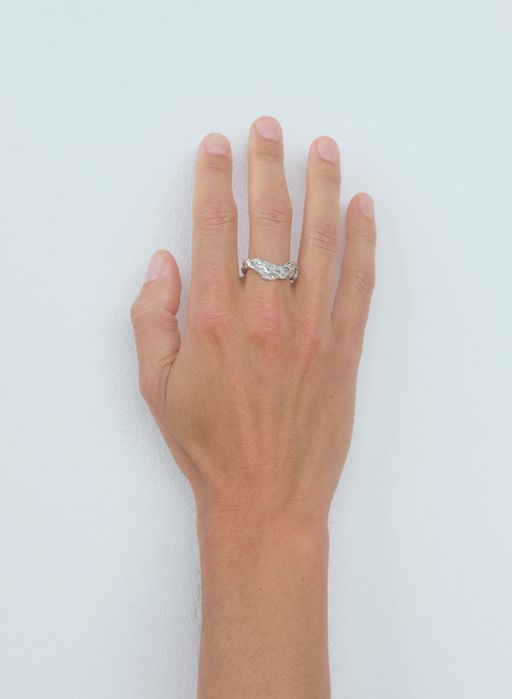 Aubertii ring photo