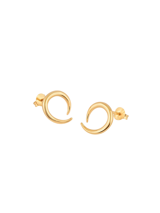 Gold toro horn studs photo
