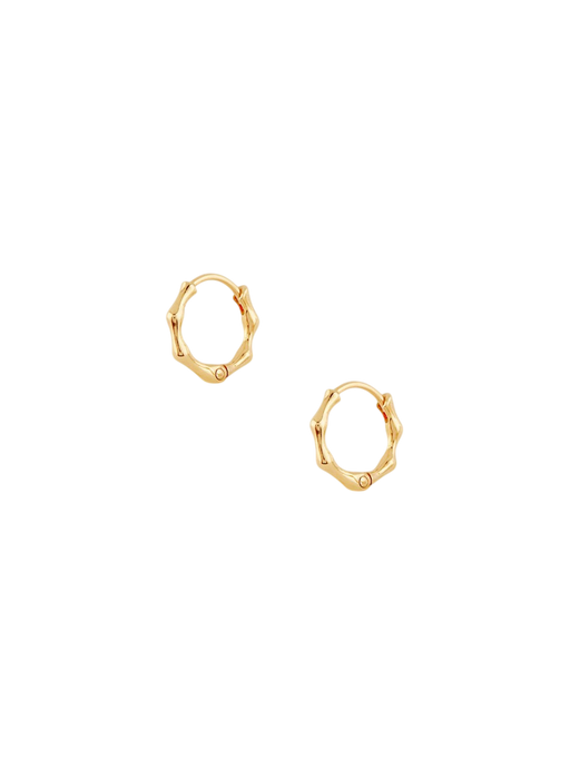 Bamboo Micro Hoop Earrings photo