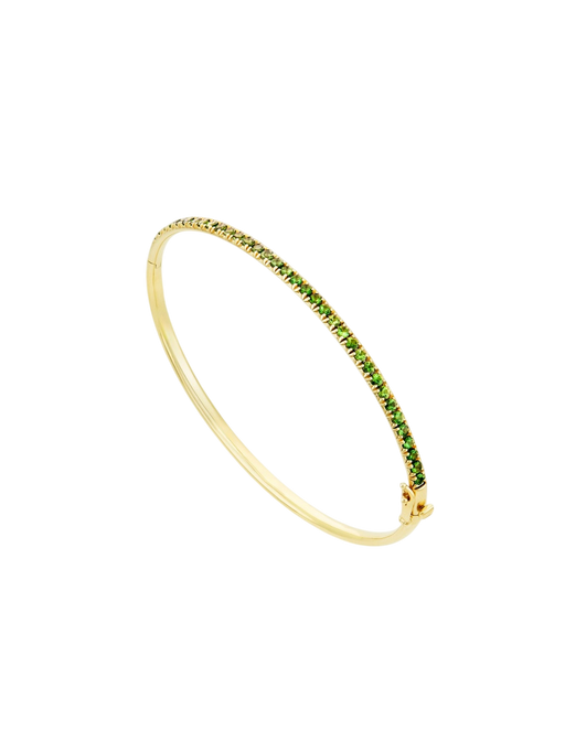 Minnow tsavorite garnet bangle photo