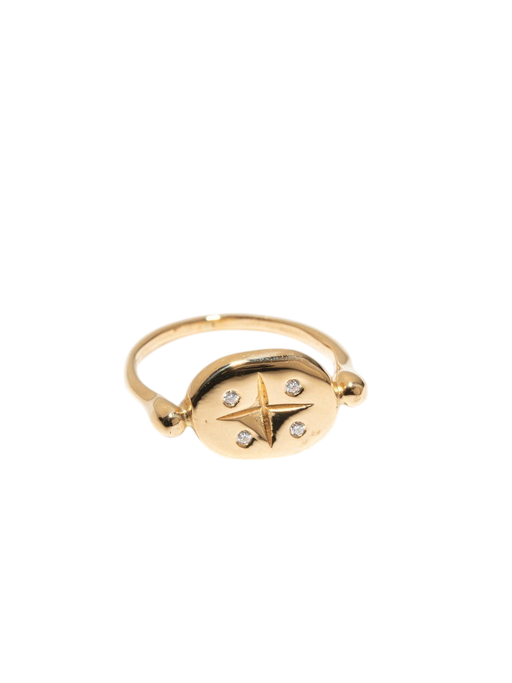 The Aiolos Ring in Gold photo
