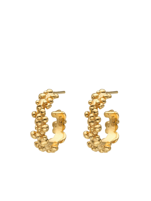 Céleste deux small hoop earrings 14 ct gold photo