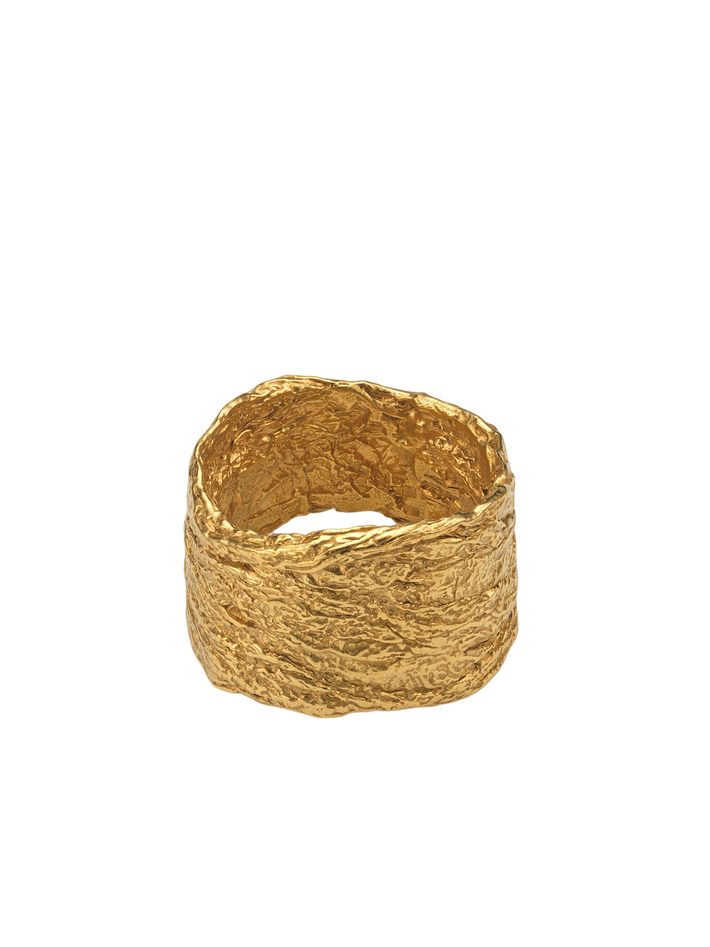 Archaic ring gold vermeil