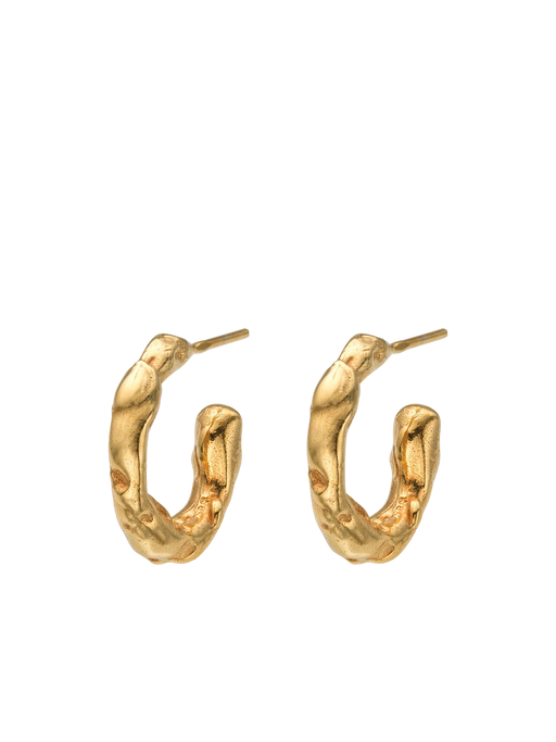 Talisman small hoop earrings 14 ct gold photo