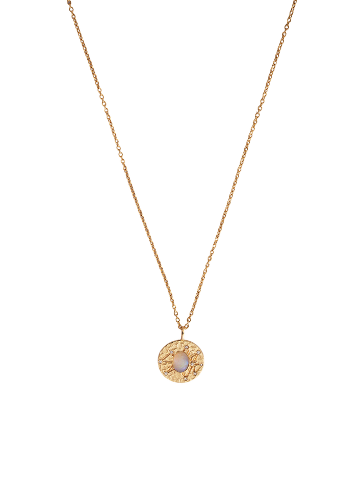 Zodiac coin necklace