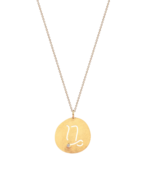 Capricorn Pendant photo
