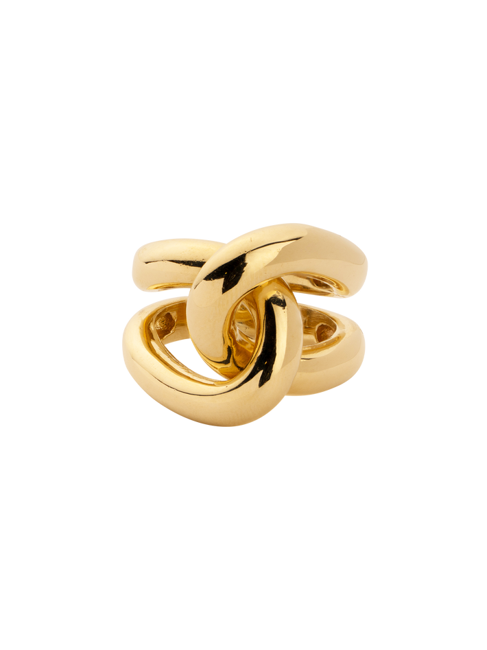 Full link ring by Gabriela Artigas | Finematter