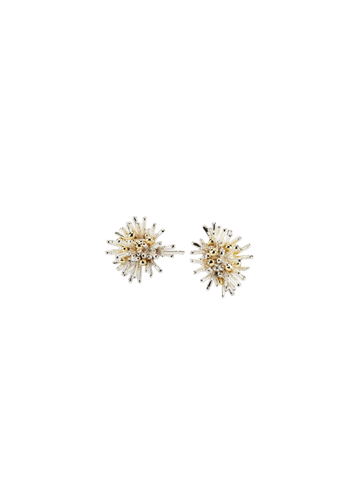 Sea urchin earrings photo