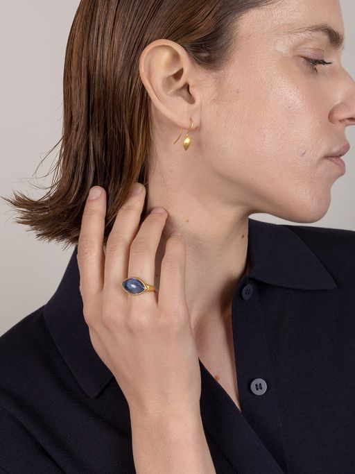 Seed ring in tanzanite photo