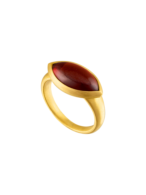 Seed ring in garnet photo