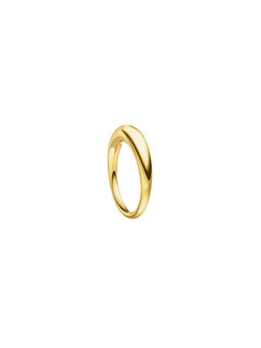 Continuum ring 18k photo