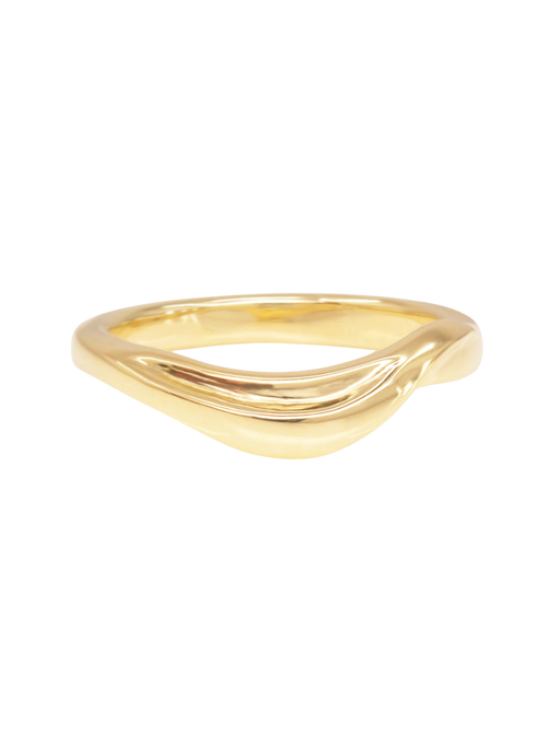Grass leaf band photo
