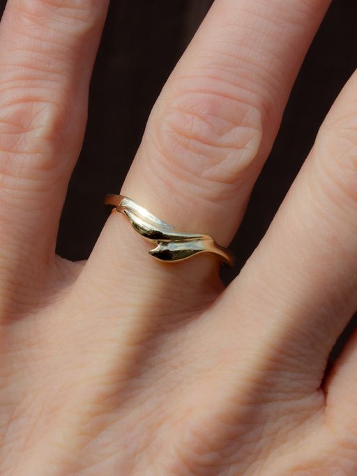 Lily leaves band photo