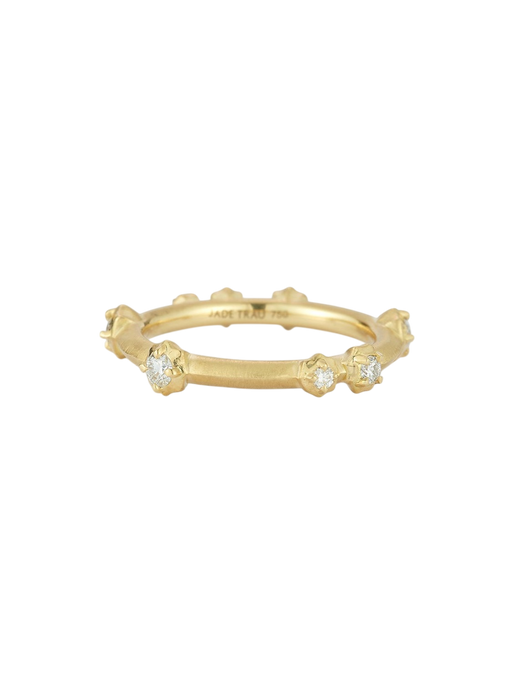 Constellation Stacking Band 2.0 photo