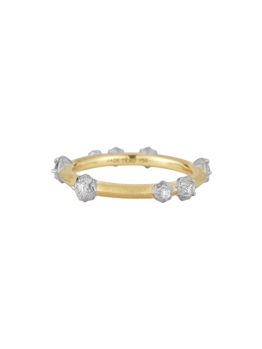 Two Tone Constellation Stacking Band 2.0 photo