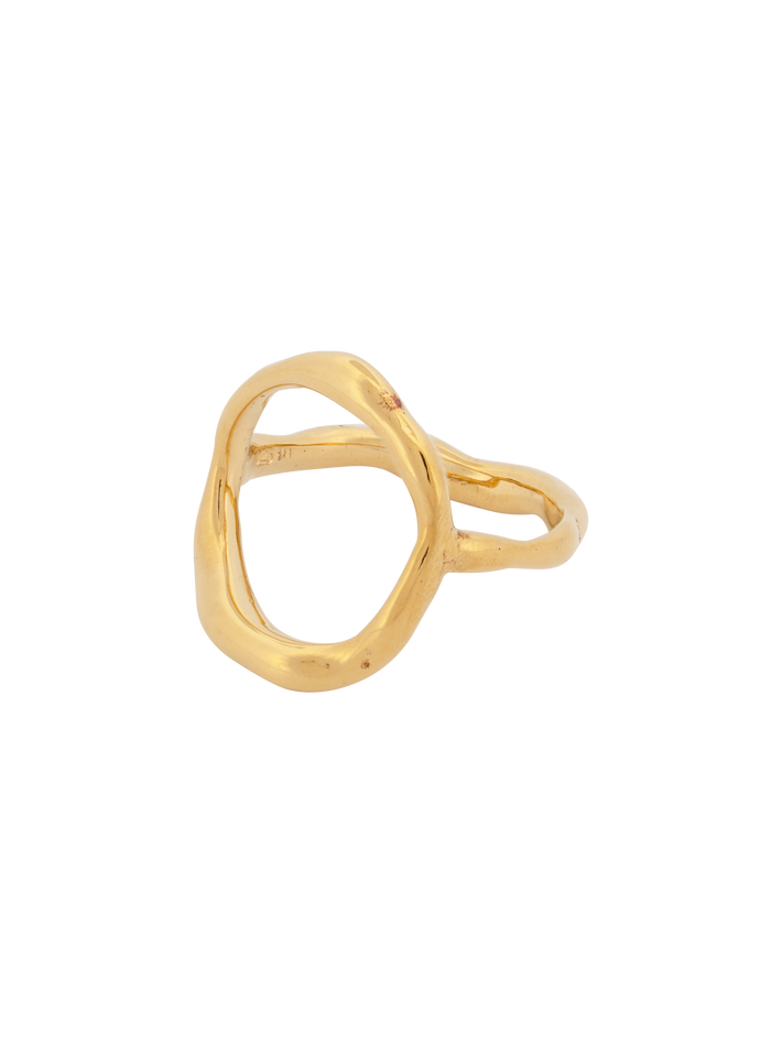 Large curves ring