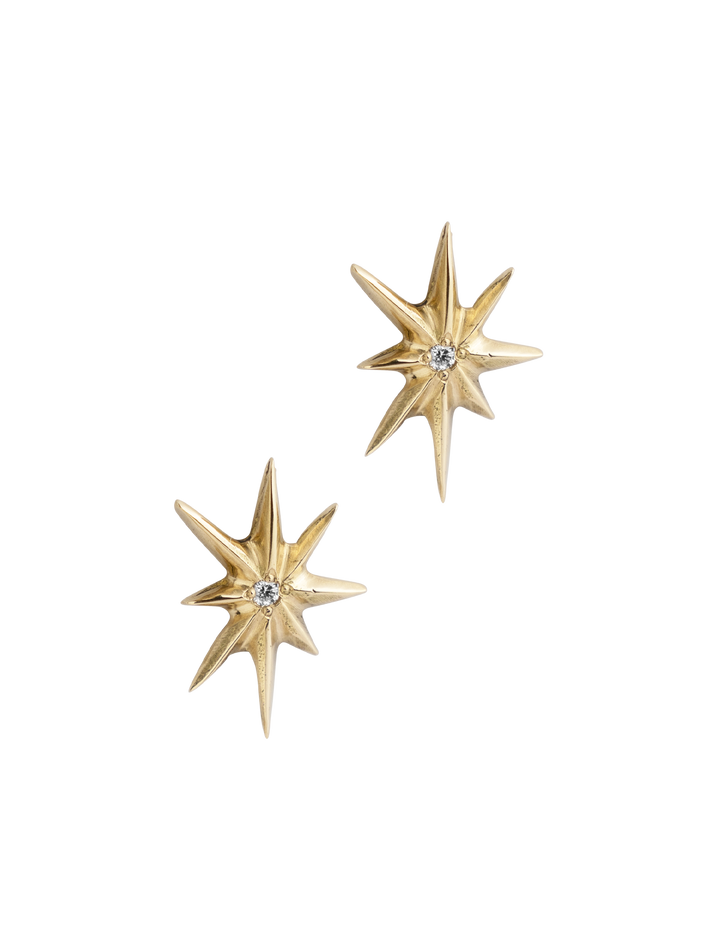 Stella polare earrings